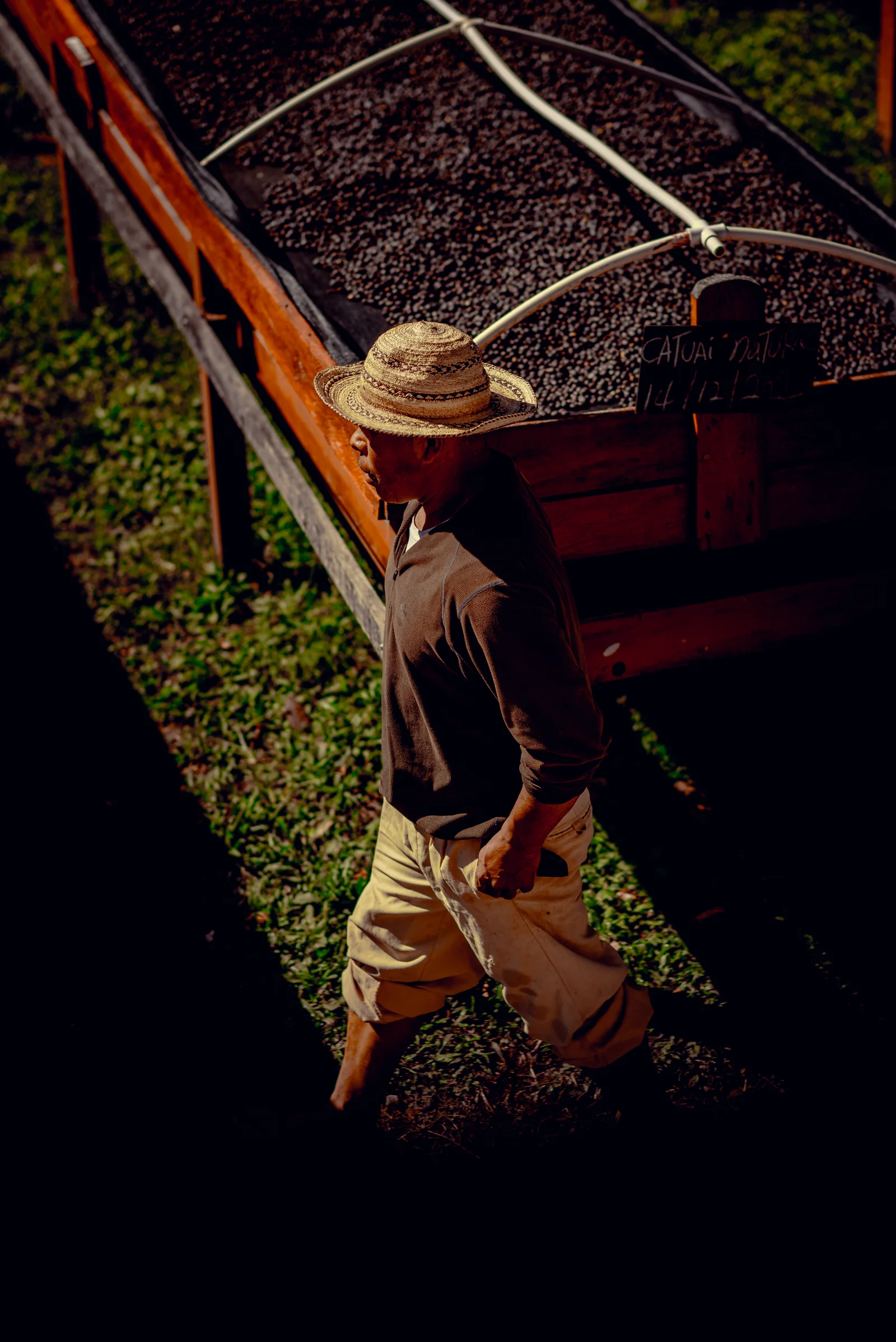 Coffee producer beside raised drying beds in Boquete, Panama